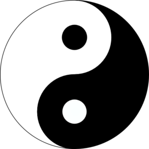 Yin-Yang of functional coverage